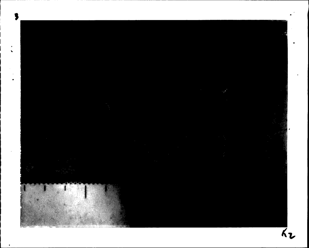 D165942670 page 131