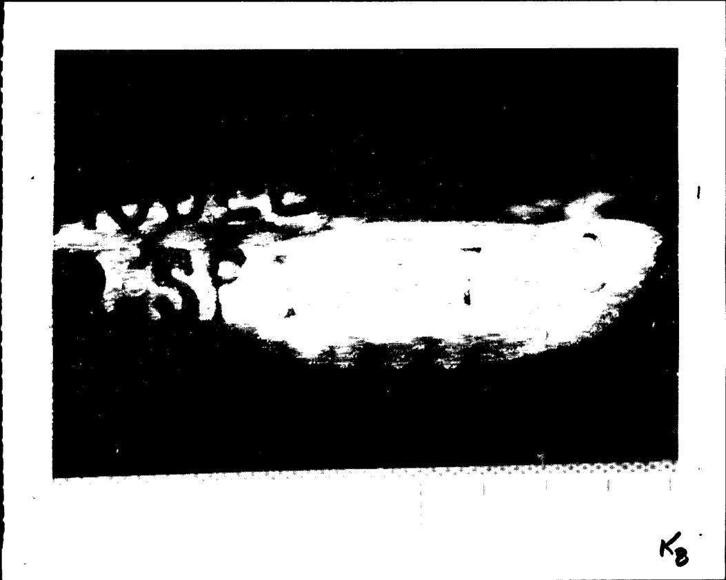 D165942670 page 139