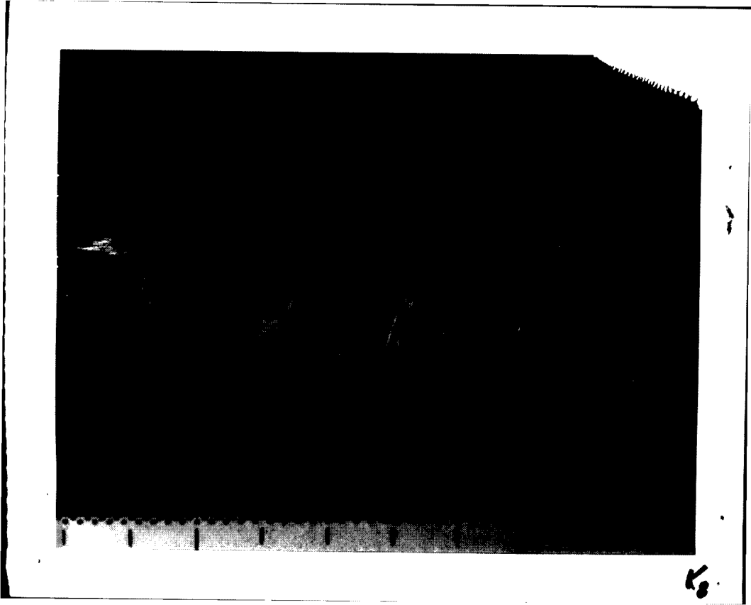 D165942670 page 141