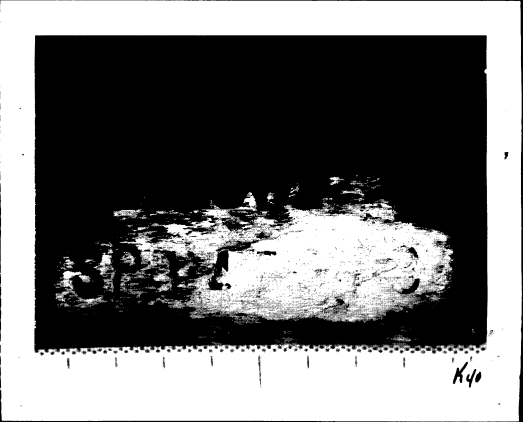 D165942670 page 179
