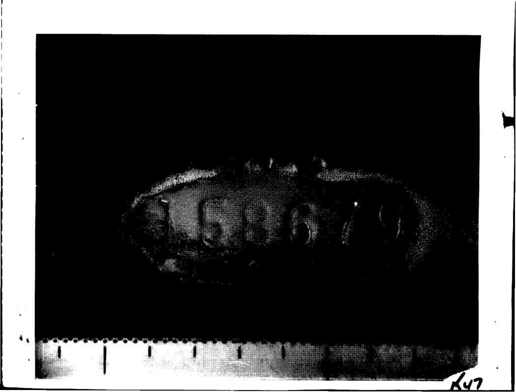 D165942670 page 213
